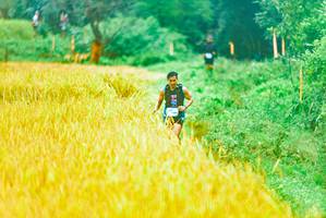 BIB: 
                            <button type="button" onclick="openModal(13455428)" class="btn btn-primary btn-sm float-right btn-popup" data-toggle="modal" data-target=".modal-high-quality">
                        <i class="fas fa-shopping-cart"></i> Add to Cart
                    </button>
                                            <button type="button" onclick="isThisMe(13455428, true)" class="btn btn-success btn-sm float-right btn-popup btn-isme hidden" data-toggle="tooltip" data-placement="bottom" title="นี่คือรูปของคุณใช่ไหม คลิกที่นี่เพื่อเอาเข้าอัลบั้ม">
                        <i class="fas fa-plus"></i> Add to album
                    </button>
                    <button type="button" onclick="isThisMe(13455428, false)" class="btn btn-warning btn-sm float-right btn-popup btn-isnotme hidden">
                        <i class="fas fa-ban"></i> Remove from album
                    </button>